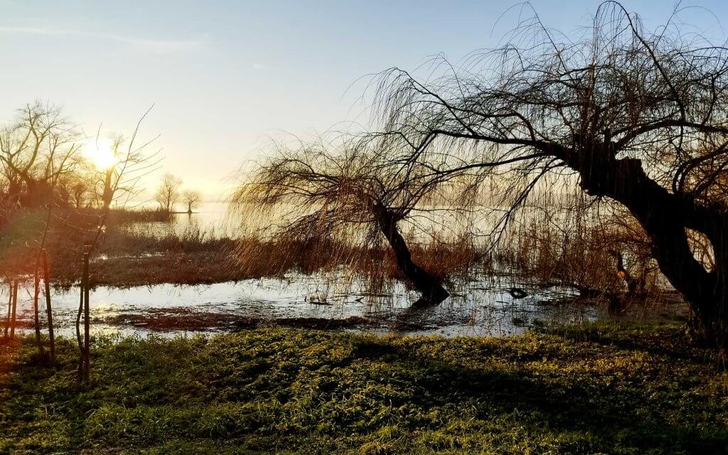 Abendstimmung auf der Insel Reichenau im Bodensee - Grün, bullisch: Was hat der Bodensee-Pegel mit meinen Investments zu tun?