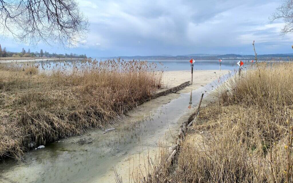 Niedrigpegel am Bodensee auf der Insel Reichenau am Hockgraben: Die Verbindung zwischen Untersee und Gnadensee ist bei einem Pegel von 275 cm nicht mehr befahrbar. Häufig auftretende Niedrigpegel sind eine Folge der Erdüberhitzung.